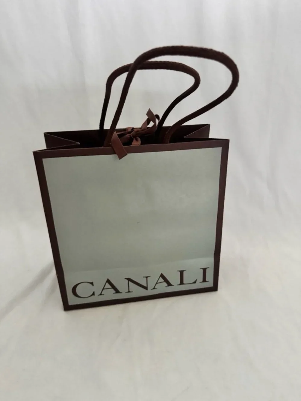 Canale Reusable Paper Shopping Bag Gift Rope Handle 9.5